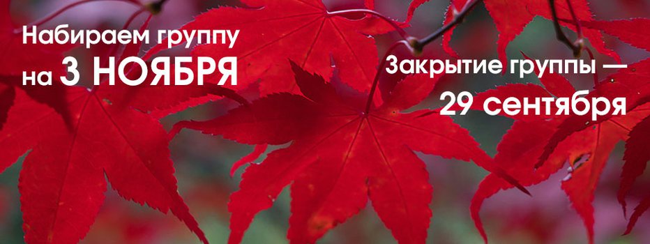 Период красных кленов в Корее